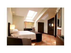 Hotel TH Carpegna Palace Roma