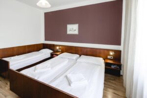 Hotel Hoffinger Viena