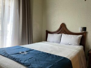 Hotel Frances Guadalajara
