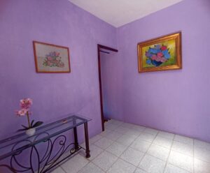 Hostal Casa Rosa Amelia Guadalajara