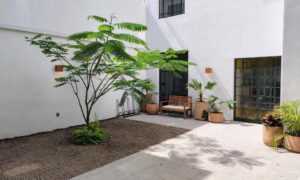Hotel Hospedarte Central Guadalajara