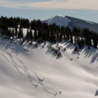 Wonderings: are the stars our destination?